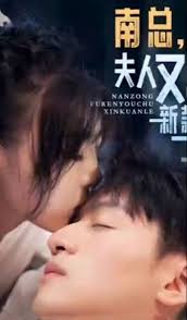 南總，夫人又出新款了(全集)