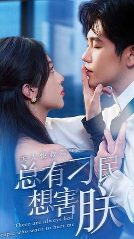 夫人快救駕，總有刁民想害朕(全集)