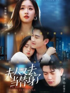 夫人又去當替身了(全集)