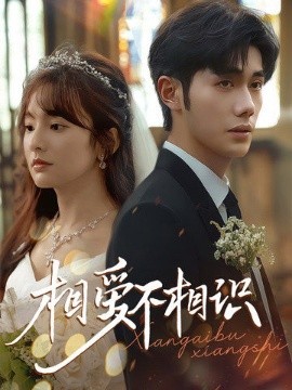 相愛不相識(全集)