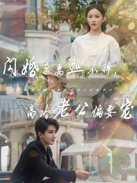 閃婚孕妻逃不掉，高冷老公偏要寵(全集)