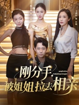 剛分手，被姐姐拉去相親(全集)