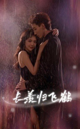 長羨歸飛鶴(全集)