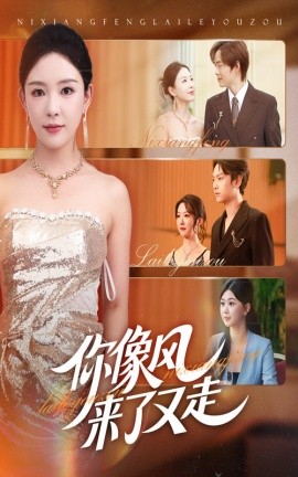 你像風(fēng)來(lái)了又走(全集)