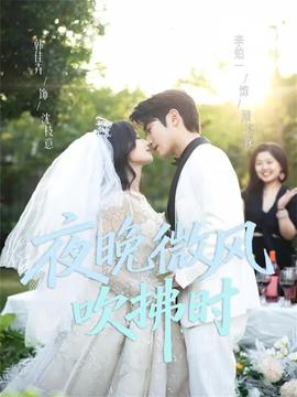 夜晚微風(fēng)吹拂時(shí)(全集)