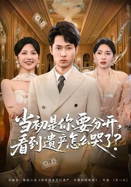 當初是你要分開，看到遺產(chǎn)怎么哭了？(全集)
