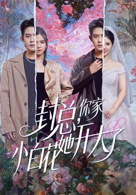 封總，你家小白花她開大了(全集)