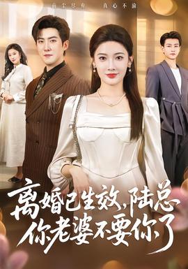 離婚已生效，陸總你老婆不要你了(全集)