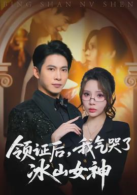 領(lǐng)證后，我氣哭了冰山女神(全集)