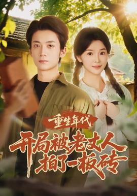 重生年代開(kāi)局被老丈人拍了一板磚(全集)