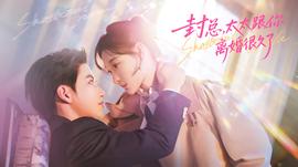 封總，太太跟你離婚很久了(全集)